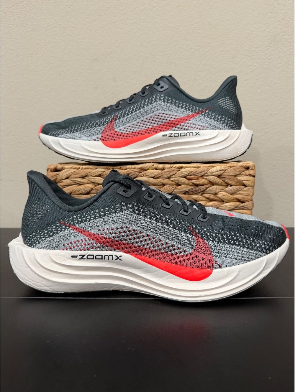 Size 12.5 - Nike Pegasus Plus “Anthracite Bright Crimson”